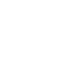 icon (1)