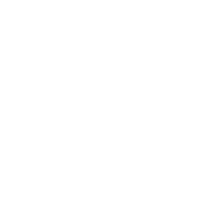 icon (2)